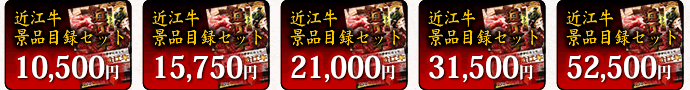 �ߍ]���i�i�ژ^�Z�b�g