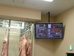 サムネイル・イメージ