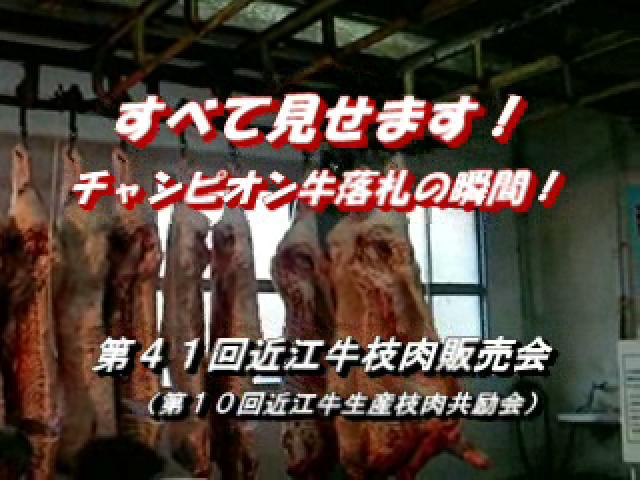 サムネイル写真