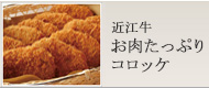 �ߍ]���J���[