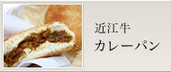 �ߍ]���J���[�p��
