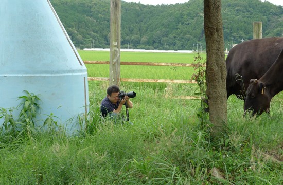 テレビの影響で熟成肉が売り切れるかも