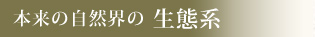 本来の自然界の生態系